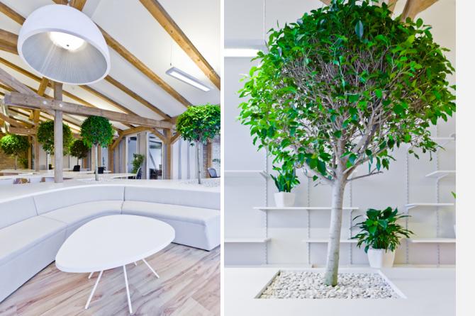 Greenhouse 辦公室裝修設(shè)計(jì)-第9張圖片-上海古都建筑設(shè)計(jì)集團(tuán) Greenhouse 辦公室裝修設(shè)計(jì)-第9張圖片-上海古都建筑設(shè)計(jì)集團(tuán)