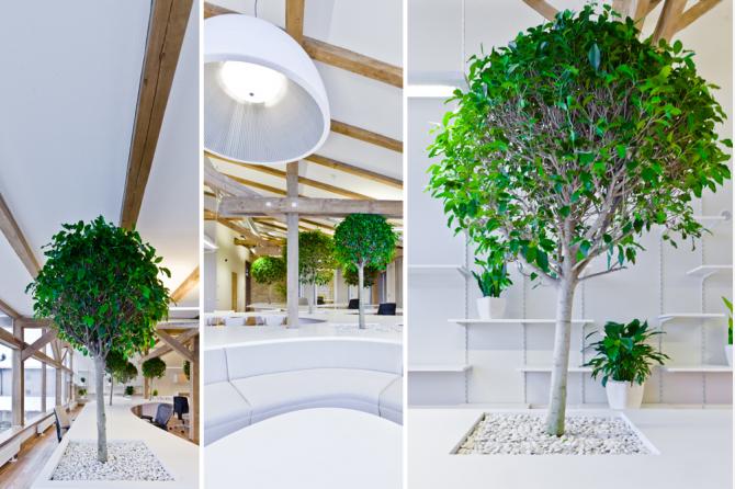 Greenhouse 辦公室裝修設(shè)計(jì)-第7張圖片-上海古都建筑設(shè)計(jì)集團(tuán) Greenhouse 辦公室裝修設(shè)計(jì)-第7張圖片-上海古都建筑設(shè)計(jì)集團(tuán)